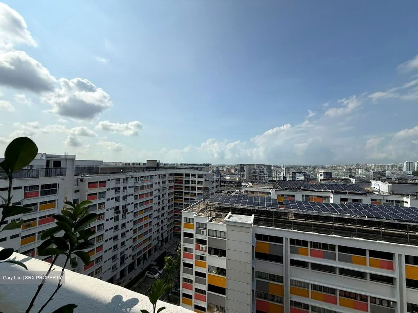 Blk 925 TAMPINES PALMSPRING (Tampines), HDB 3 Rooms #568295851
